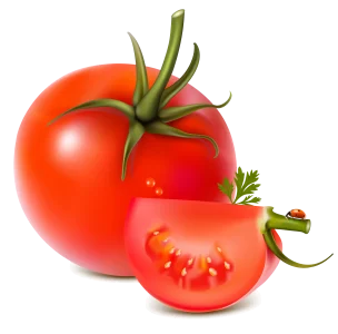 Порошок ликопина