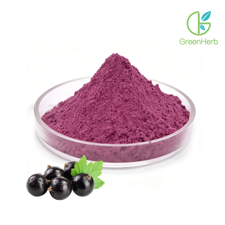 Порошок бузины