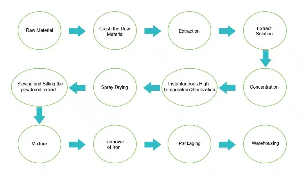 Low-temperature dehydration process flowchart for rosehip fruit powder production