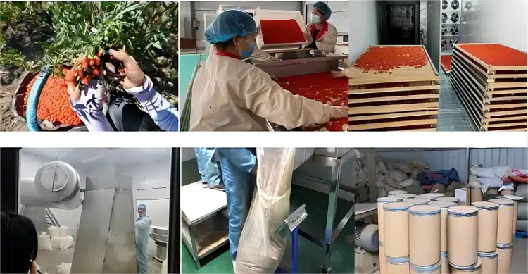Low-temperature dehydration process flowchart for goji berry powder production