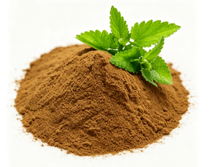 Urtica dioica stinging nettle fresh leaf macro photography