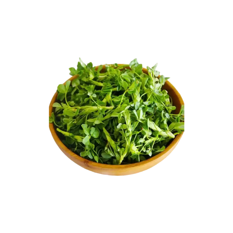 Макрофотография травы Medicago sativa на поле, возделываемом по методам органического земледелия
