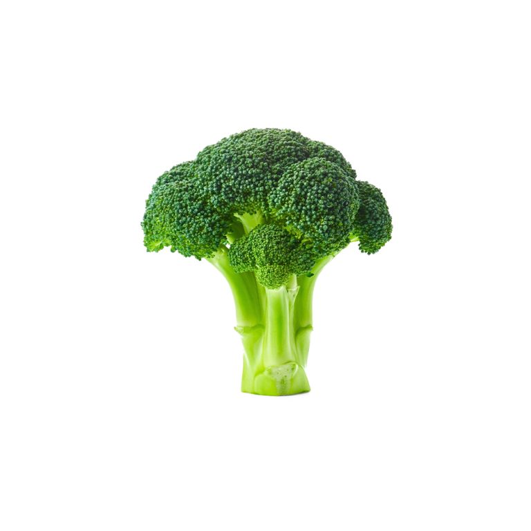 Макрофотография свежих соцветий Brassica oleracea var. italica