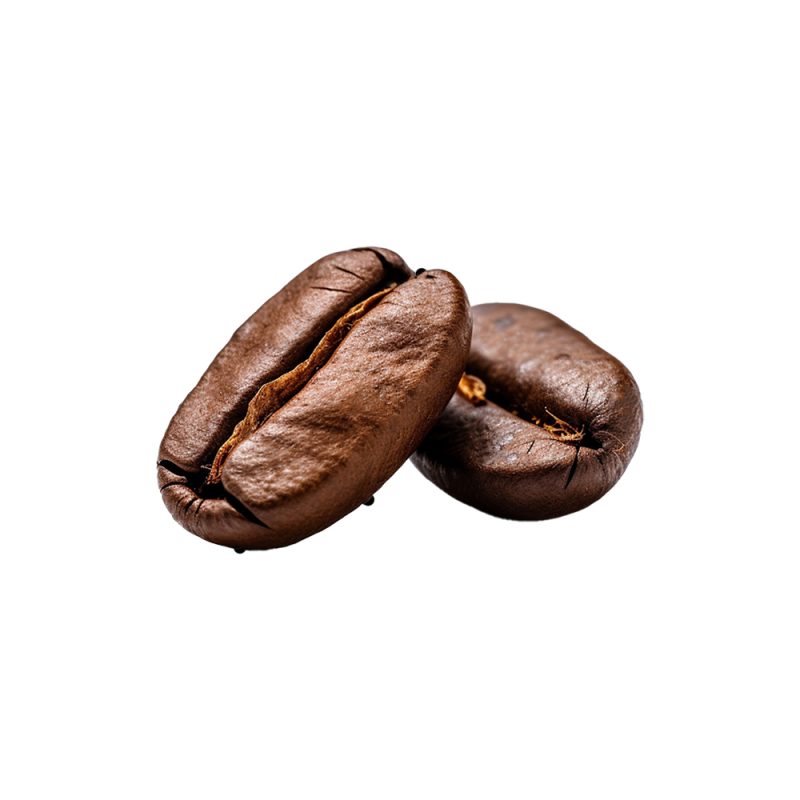 Макрофотография ферментированных семян какао (Theobroma cacao)