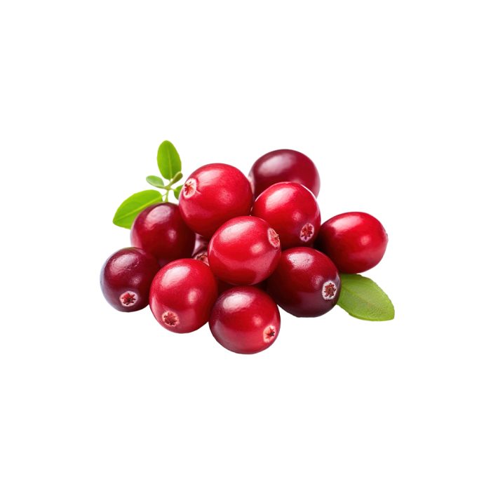 Vaccinium macrocarpon fresh cranberry fruit macro photography
