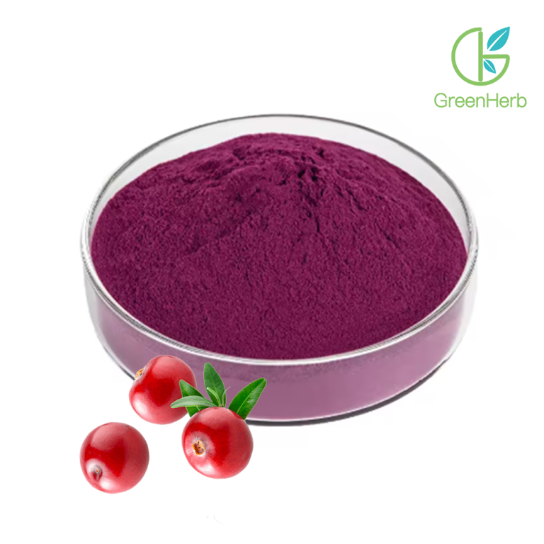 Cranberry Juice Powder raw material close-up view