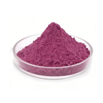 Deep purple Blueberry Powder fine particle detail