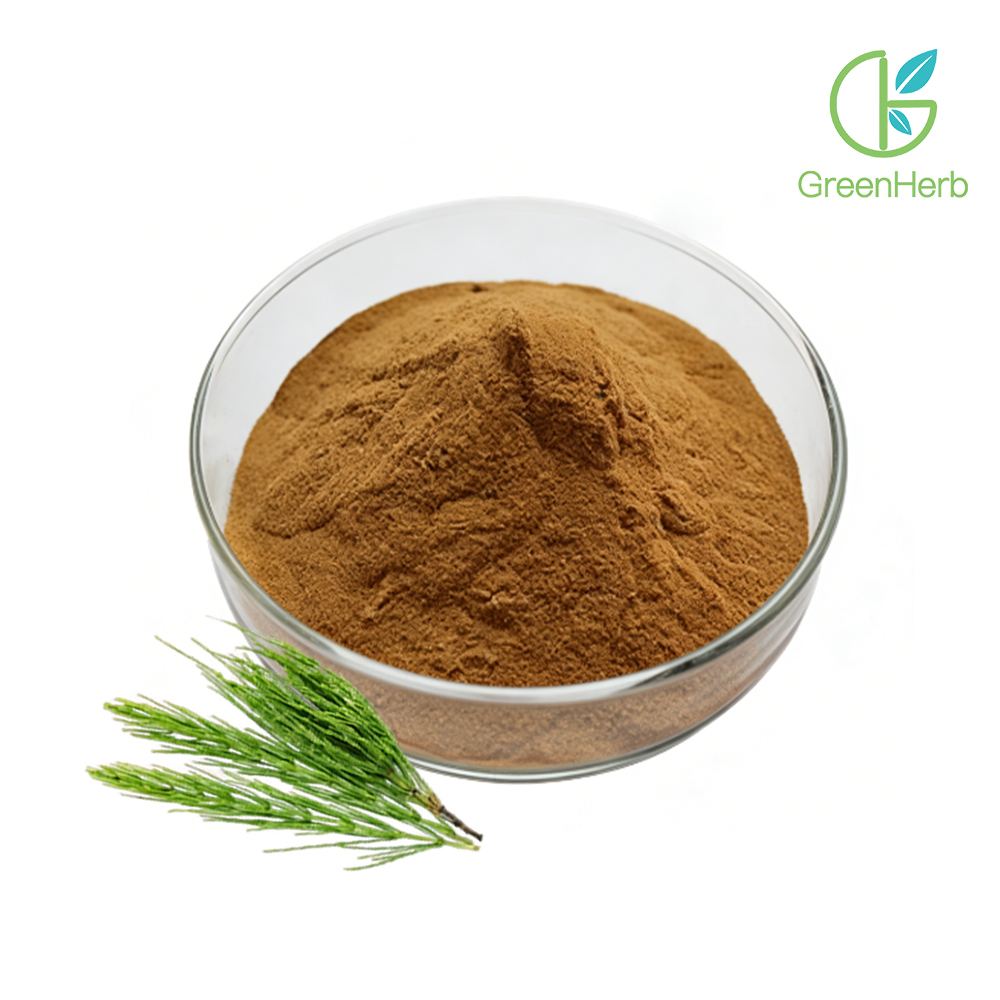 Horsetail Grass Extract close-up texture detail Horsetail Grass Extract close-up texture detail
