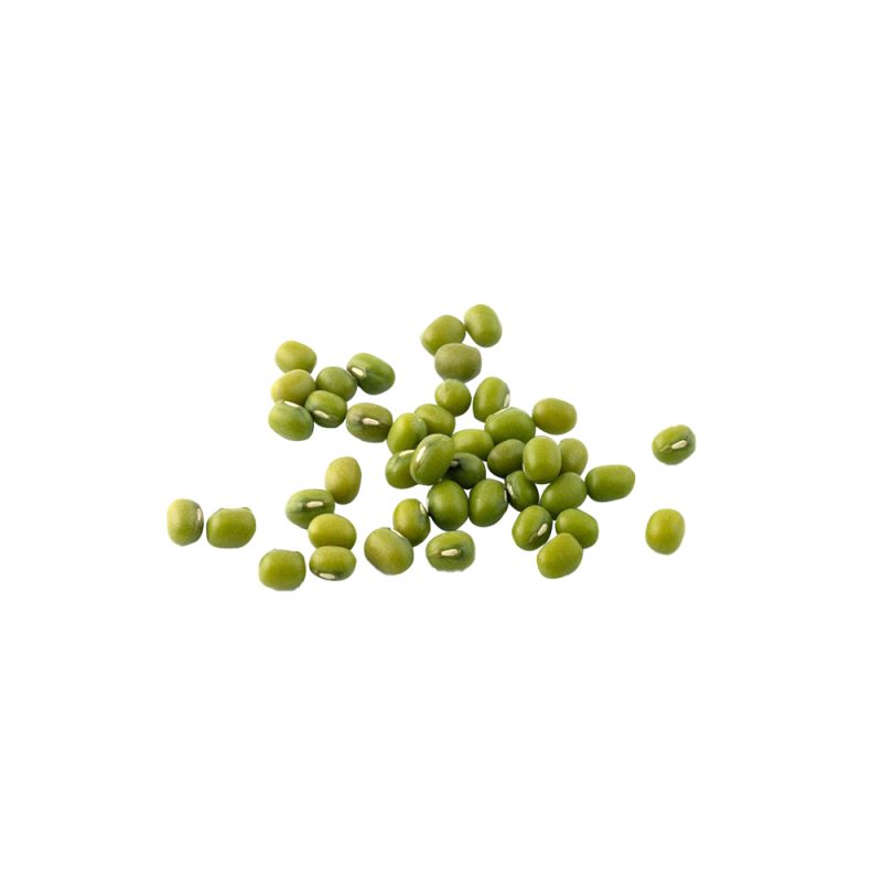 Макрофотография семян зелёной маша (Vigna radiata)