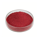 Dark red Cranberry Fruit Extract fine powder detail