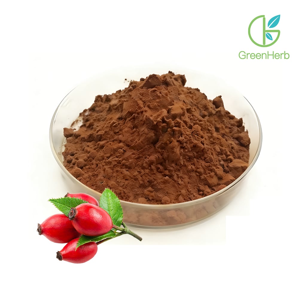 Rosehip Fruit Powder close-up texture detail Rosehip Fruit Powder close-up texture detail